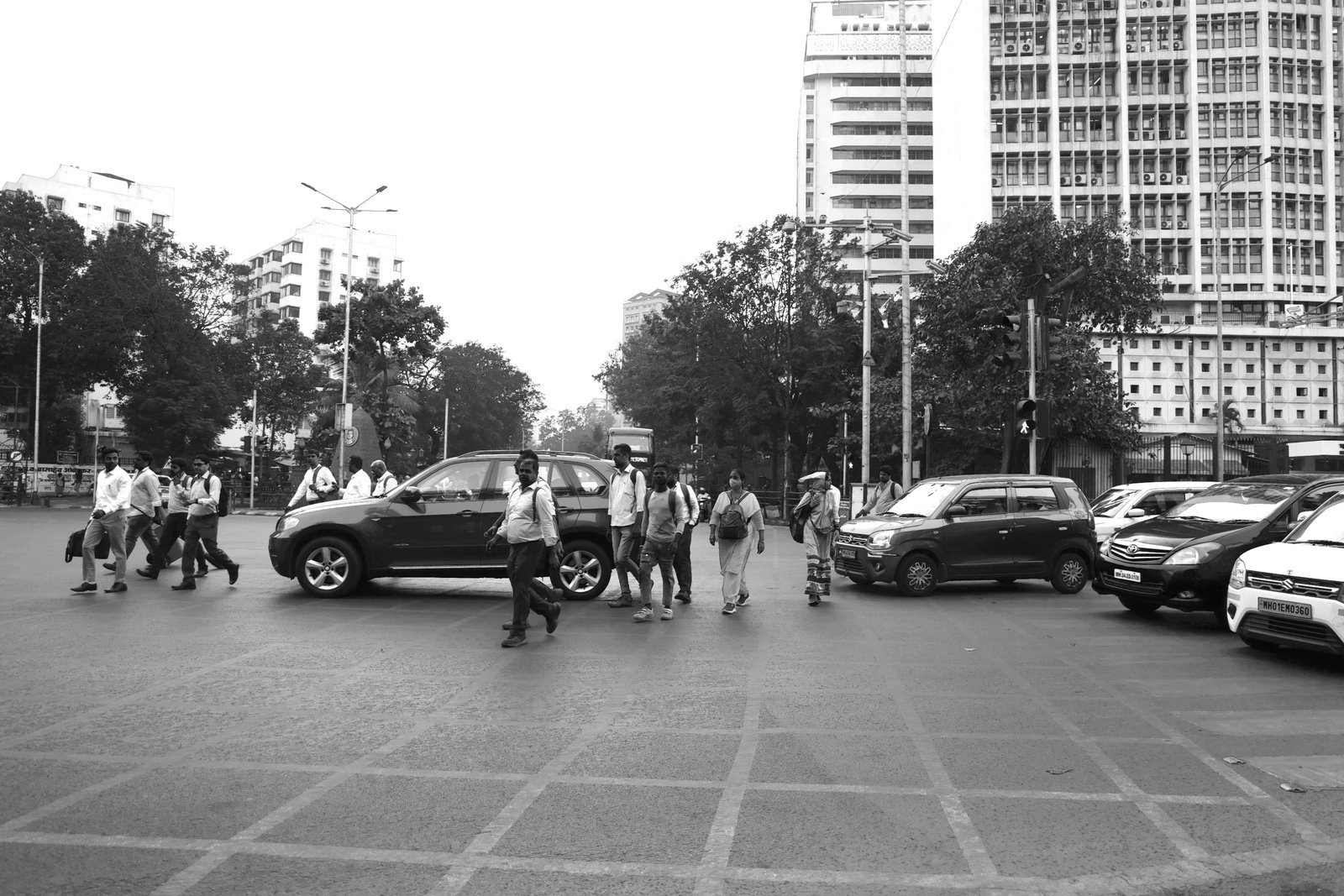 8J5A1113.jpg
