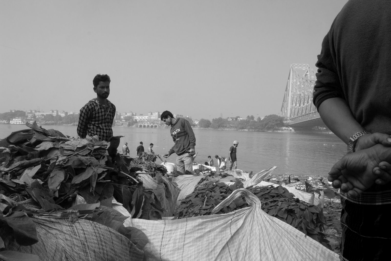 _MG_2083.jpg