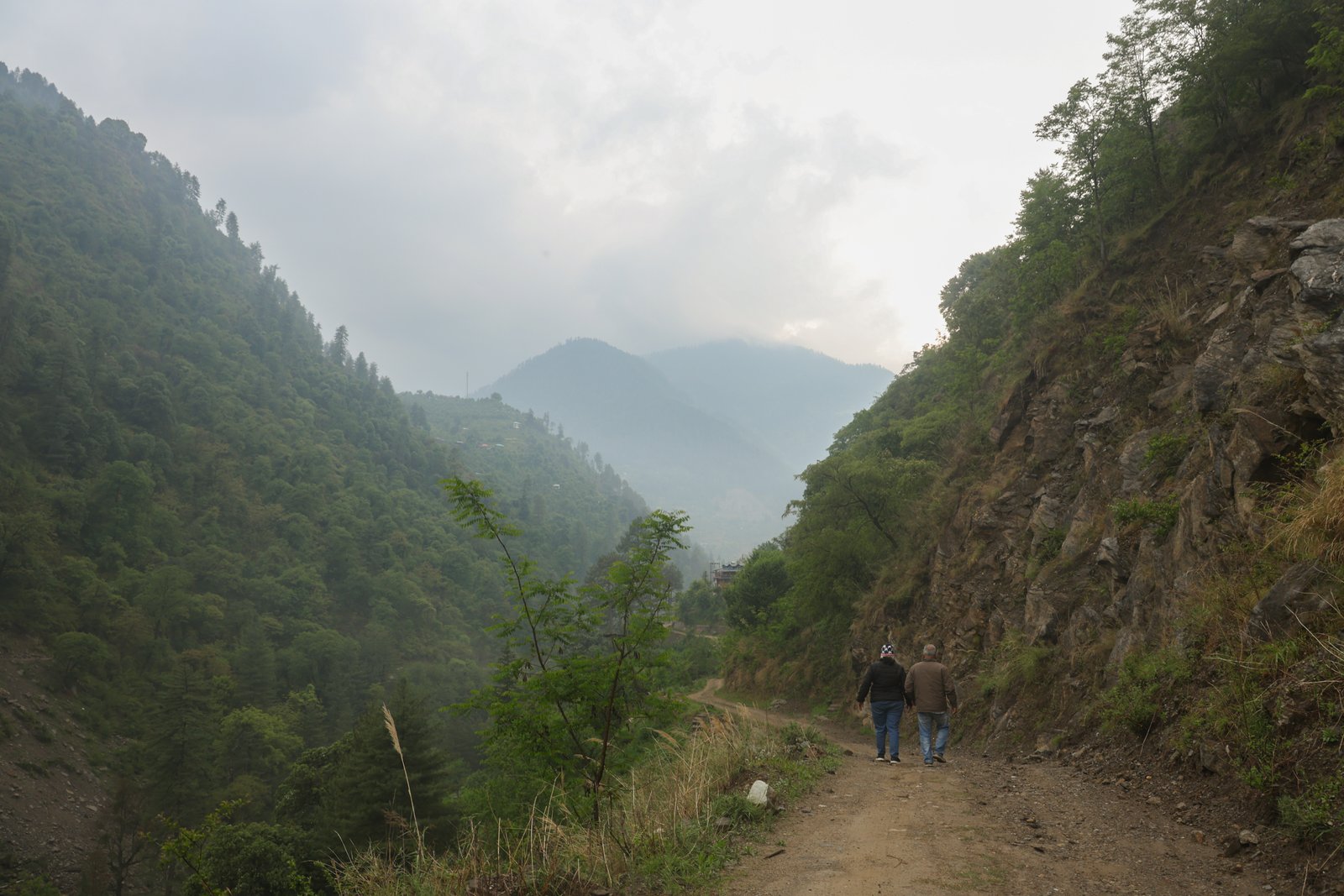 8J5A6940.jpg