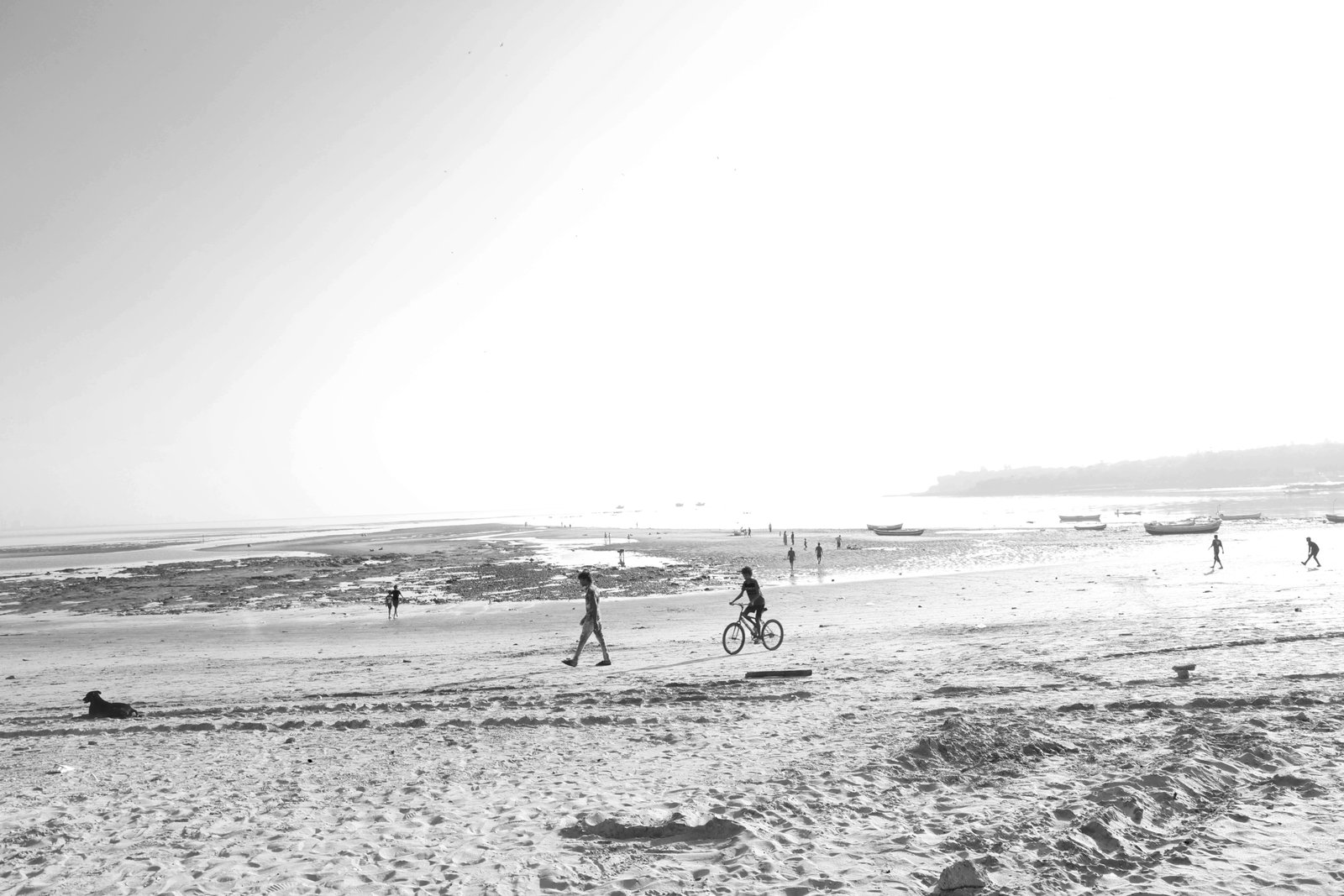 8J5A0660.jpg